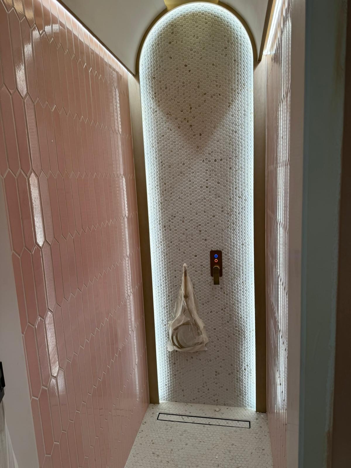 Pink penny-tile shower with backlit niche and brass trim